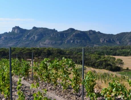 le muy C 96 ph9 vue rocher de roquebrune – Copie