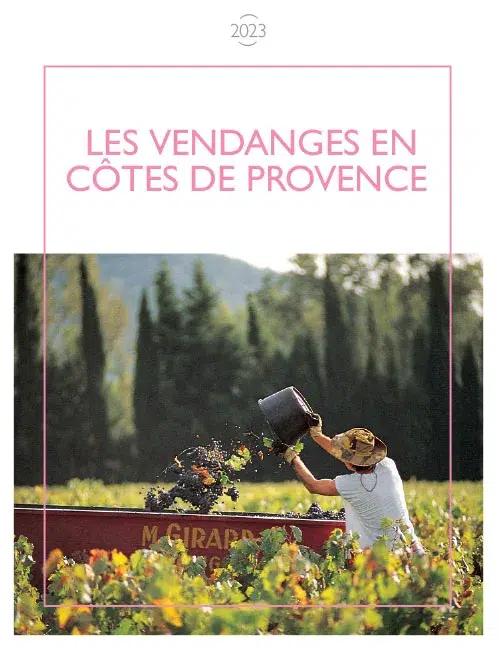 Les vendanges en Côtes de Provence